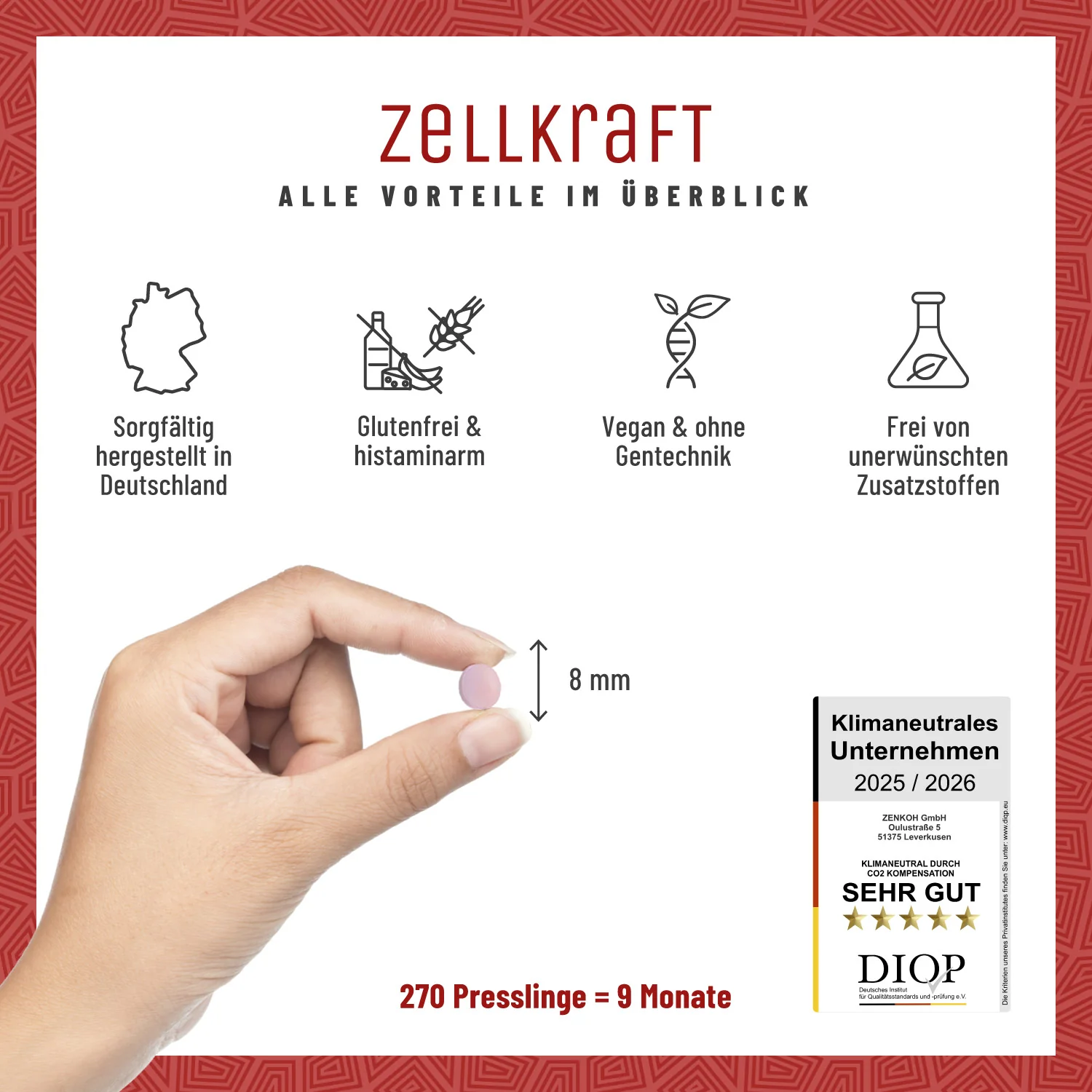 Zellkraft: Vitamin B12-Presslinge - Image 8