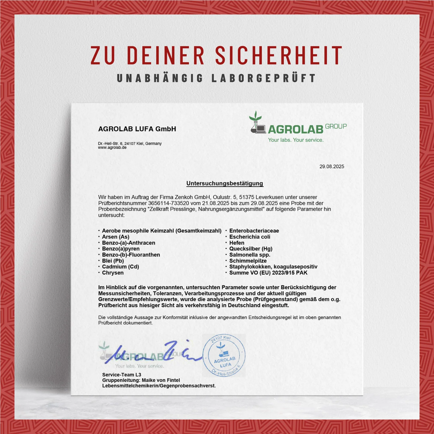Zellkraft: Vitamin B12-Presslinge - Image 9